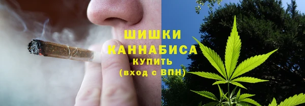 ПСИЛОЦИБИНОВЫЕ ГРИБЫ Дмитровск